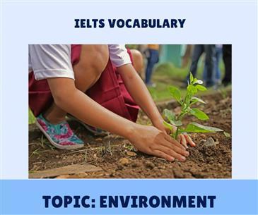 Từ vựng IELTS về chủ đề Environment bạn không nên bỏ qua