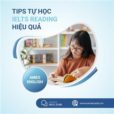 Tips tự học IELTS Reading hiệu quả cho người mới bắt đầu